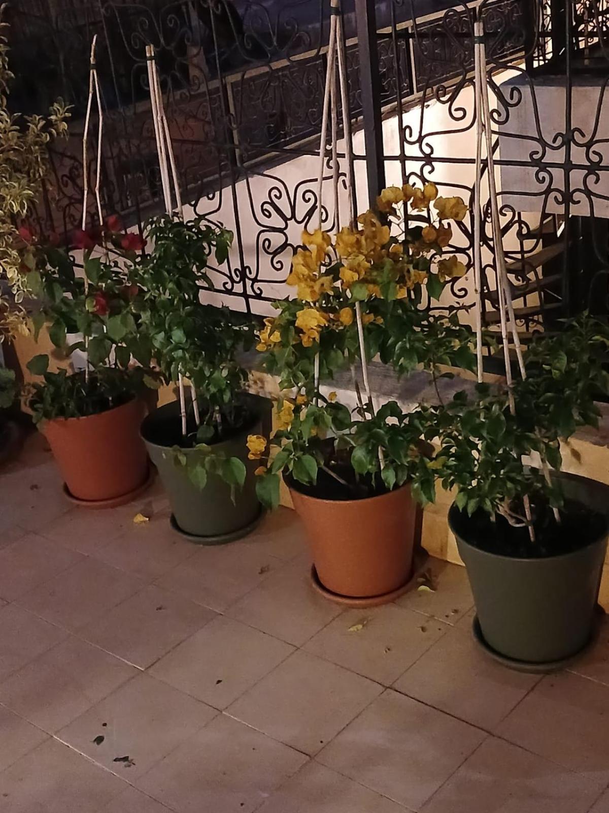 Riad Dantella Марракеш Экстерьер фото